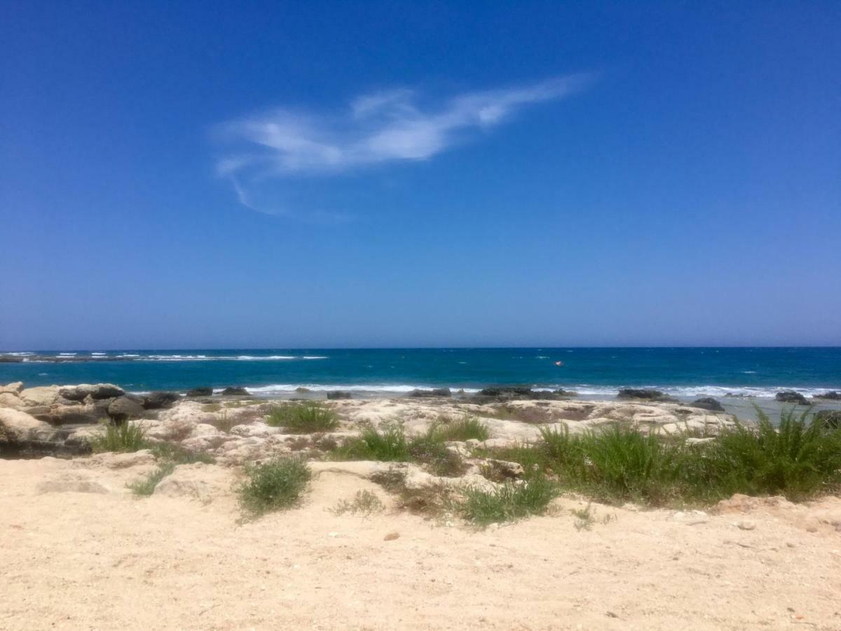 Almarea Corallo Appartamenti In Villa Vicino Al Mare - Affitto Breve Polignano a Mare Buitenkant foto